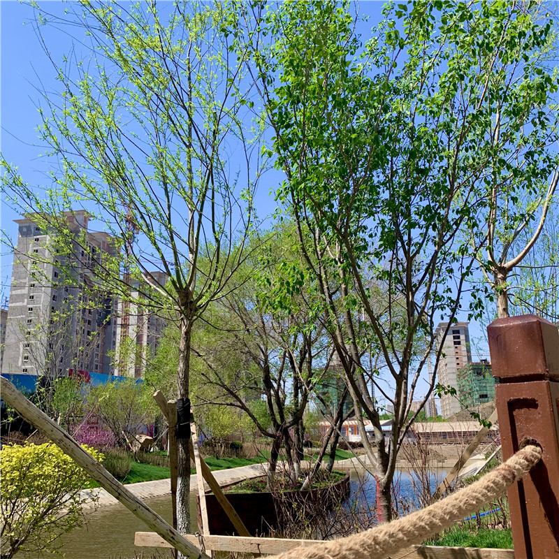 微信图片_202005121534546